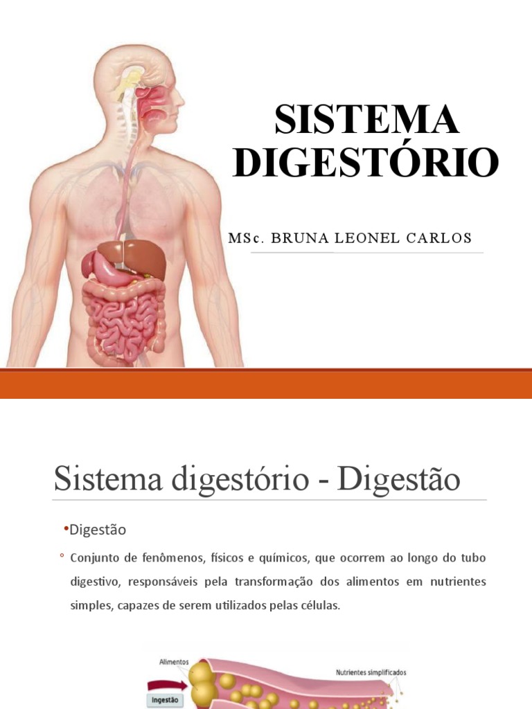 Aula 9 - Sistema Digestório | PDF | Sistema digestivo humano ...
