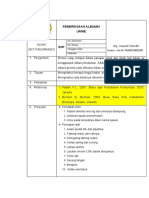 Pemeriksaan Albumin Urine