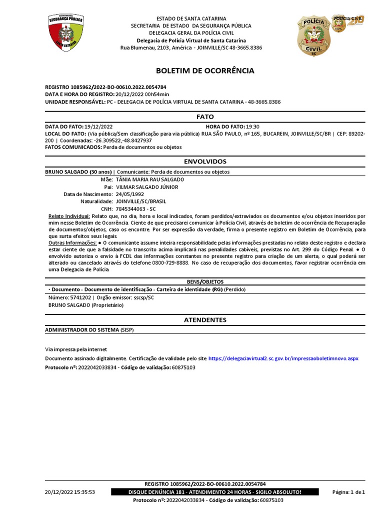 boletim-de-ocorr-ncia-pol-cia-civil-pdf