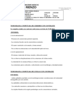 Tomografia Computada de Cerebro Con Contraste Se Completa Estudio Con Contraste Endovenoso en Fecha de 27-09-2022. Informe