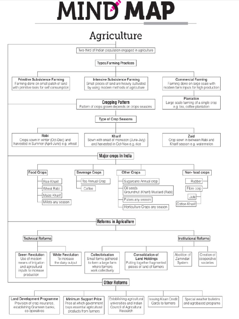 MINDMAP | PDF