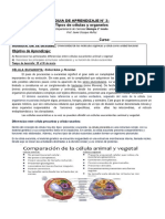 1ero C Biología Guia 2 Célula y Organelos