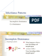 Inheritance Patterns