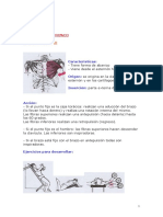 Anatomia Musculos