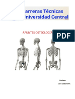 Apuntes Osteología