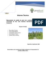 Informe Tecnico Del Mejoramiento de Semilla Sahcabchen (RC)