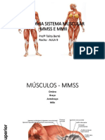 Aula06 ANATOMIA SISTEMA MUSCULAR MMSS E MMII