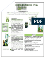 Direito Ambiental - Mapa Mental 2