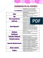 Microorganismos en El Cuerpo