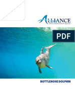 AMMPA DolphinFactSheet FINAL Web