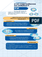 Infografía Reproducción Celular Mitosis Ilustrativo Azul