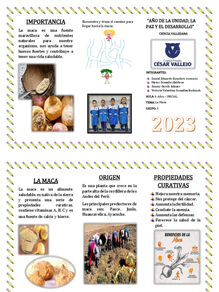 La Maca | PDF