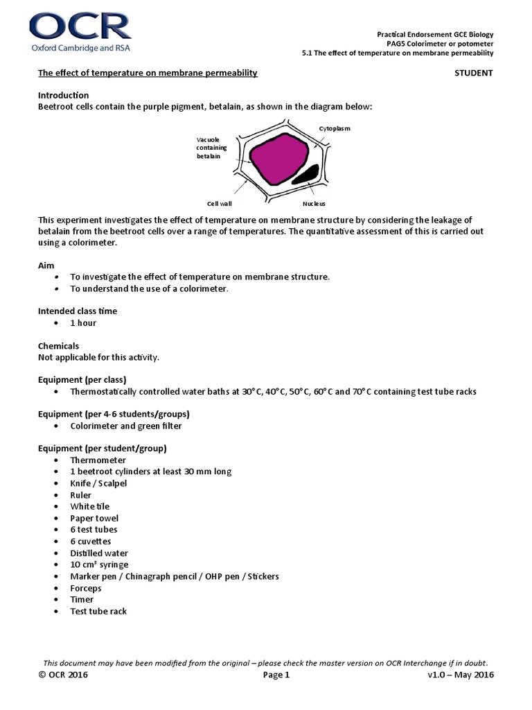 Beetroot Experiment: Temp & Membrane Permeability | PDF | Temperature ...
