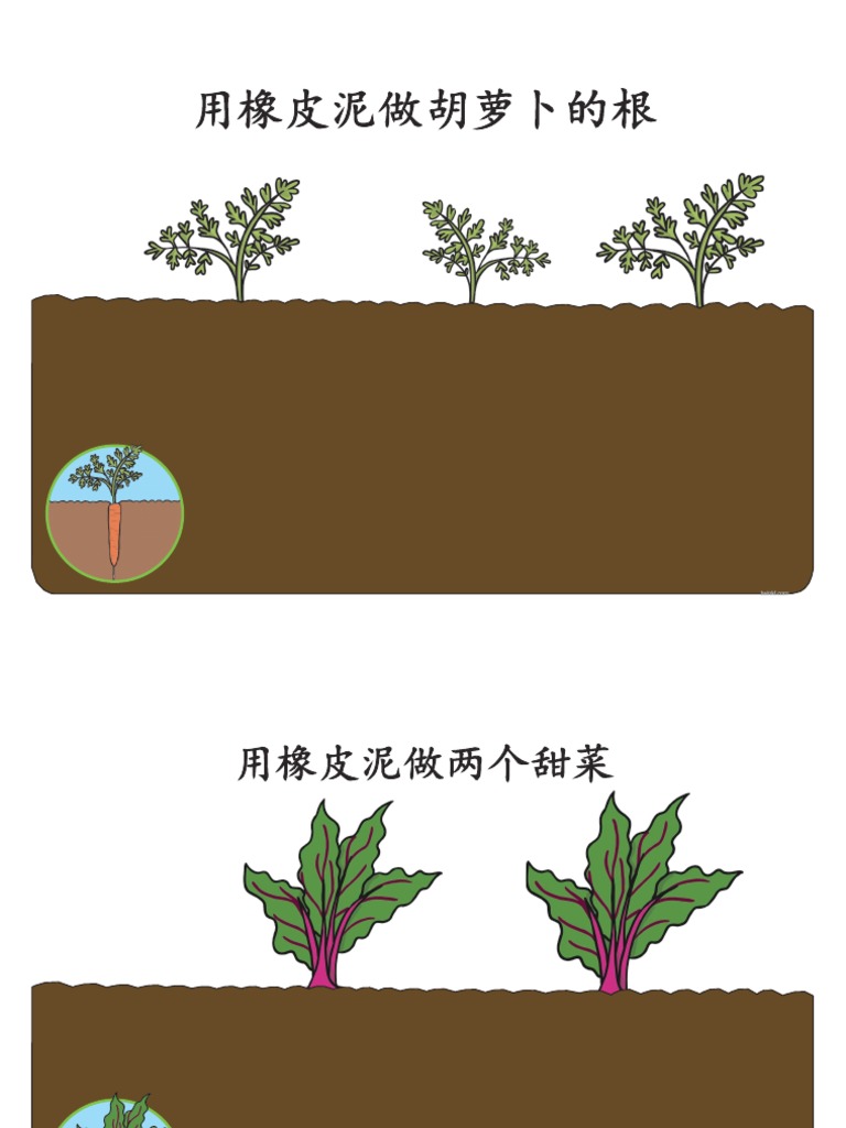 Plant Roots Playdough Mats English PDF