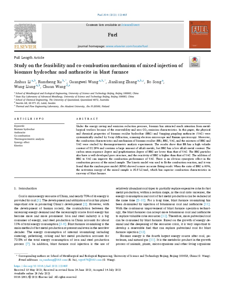 Feasibility and Co Combustion of Injection of Biomass | PDF