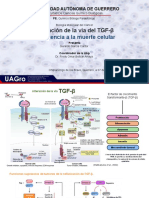 Alteración de la vía del TGF-β y resistencia a la muerte celular