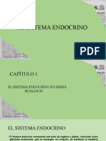 El Sistema Endocrino