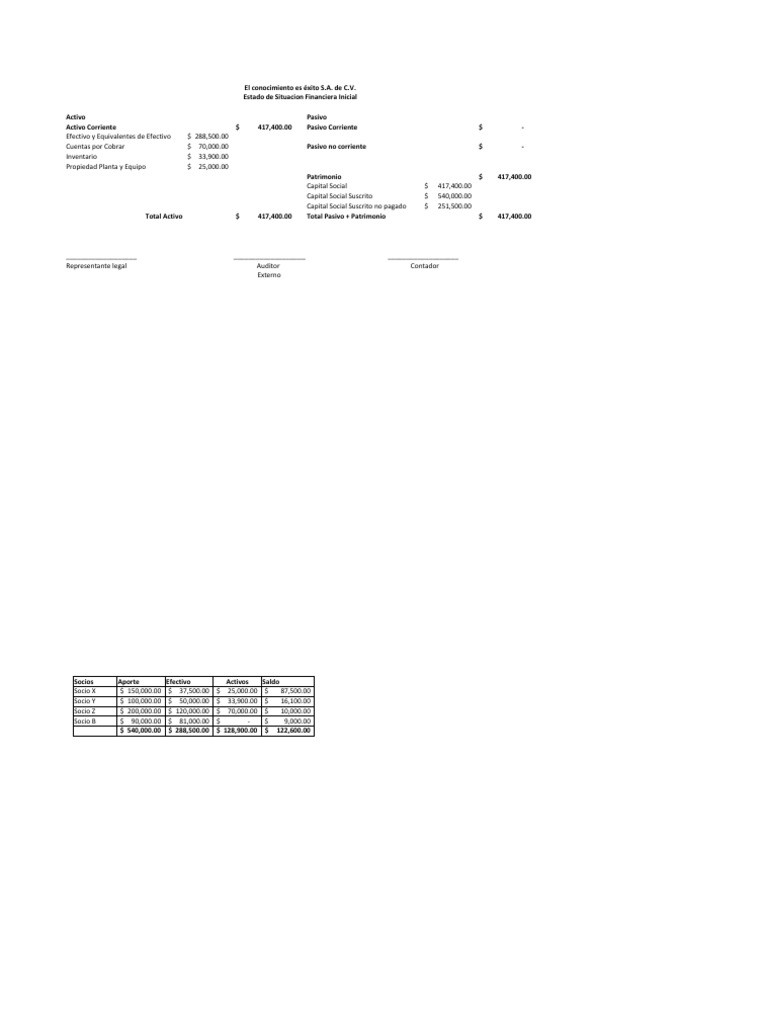 Estado de Situacion Financiera 1 | PDF | Finanzas y dinero | Derecho