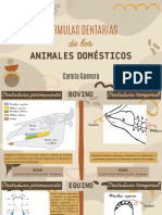 Fórmulas Dentarias