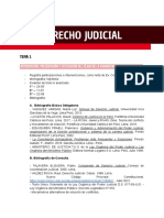 Derecho Judicial (E)