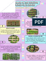 INFOGRAFIA (Ciencias de La Salud)