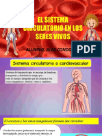 (PPT) El Aparato Circulatorio (MLD)