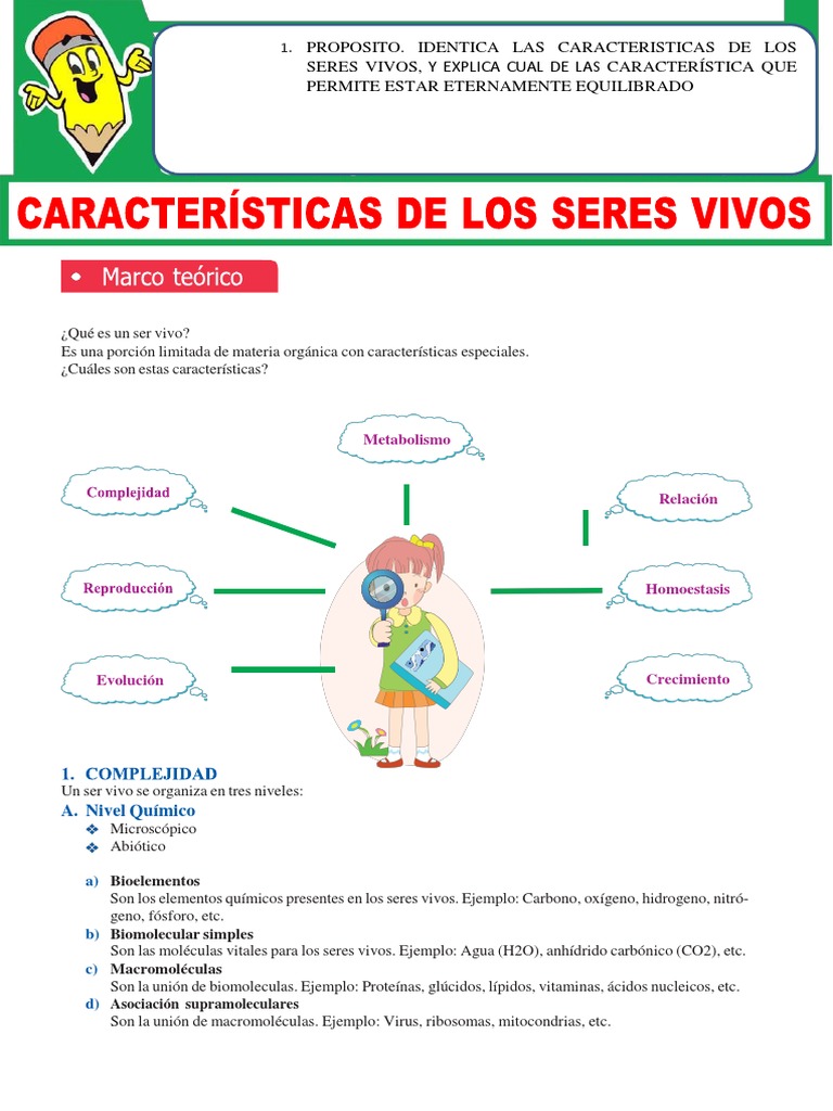 Características de Los Seres Vivos para Segundo Grado de Secundaria ...