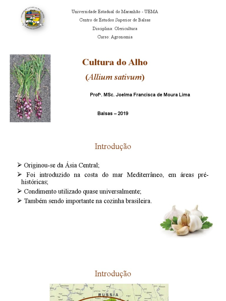 Cultivo e Manejo do Alho | PDF | Agricultura | Fertilizante
