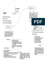 Mapa Conceptual Tras. Delirante y Psicotico Breve UMG 2023