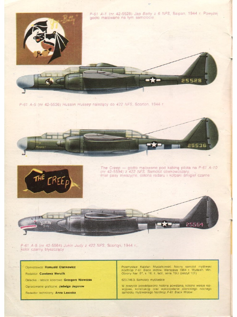 P 51 | PDF