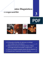 CAP.03.1 Procedimientos Diagnósticos Preoperatorios