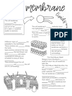 Cellmembranesketchnotes 1