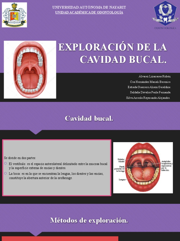 Exploración de la Cavidad Bucal | PDF | Examen físico | Boca