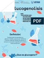 Expo Bioquimica Glucogenolisis