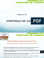 4.2 - Controle Do Cavaco