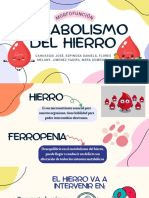 Metabolismo Del Hierro