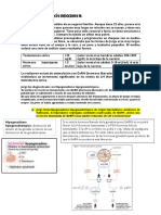 Seminario Endocrino III