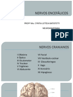 Nervos Cranianos