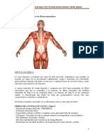 Diferenças Entre Os Tipos de Fibras Musculares