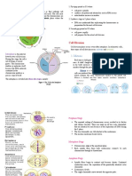 The Cell Cycle