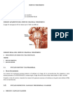 Resumen Anato Sem. 10 - Nervio Trigemino