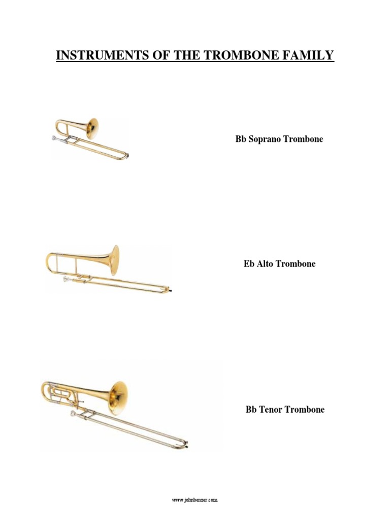 INSTRUMENTS OF THE TROMBONE FAMILY PDF