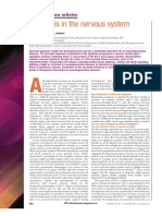 Apoptosis in The Nervous System