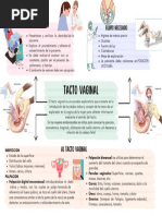 t-cnica-de-tacto-vaginal-en-obstetricia-pdf-vagina-parto
