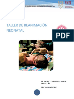 Manual de Reanimacion Neonatal