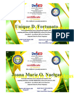 Certificate IMMERSION
