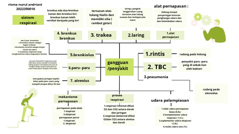 Mind Map Sistem Respirasi | PDF