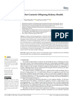 Maternal High-Fat Diet Controls Offspring Kidney H