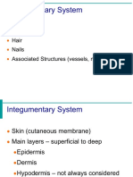 Integumentary PDF