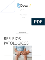 Reflejos Patologicos 453062 Downloable 2449240